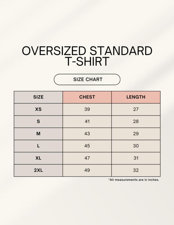 1744980430sizechart.png Ghibli Unisex Oversized Standard T-Shirt